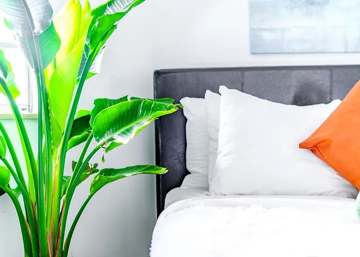 Jungle House Luxury Homes - Downtown Short North - Steps To Convention Center & Nationwide Arena - Sleeps Up To 6 - Free Parking - Over 5,800 Five Stars